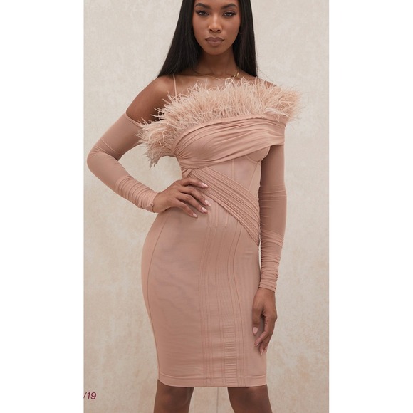 House of CB Dresses & Skirts - House of CB London Pink NAIRA 
Blush Mesh Corset Feather Dress - Small